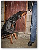 IMG_2061.JPG