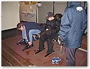 IMG_2219.JPG