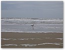 IMG_2441.JPG