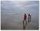 IMG_2443.JPG