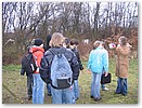 IMG_3464.JPG