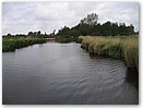 IMG_4887.JPG