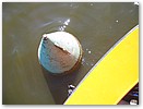 IMG_5923.JPG