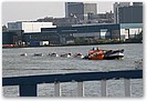 IMG_1445.JPG