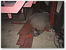 IMG_6490.JPG
