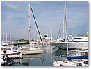IMG_6837.JPG