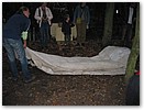 IMG_7378.JPG