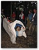 IMG_7385.JPG