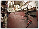 IMG_7342.JPG