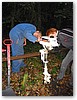 IMG_7902.JPG