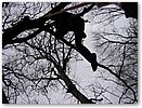 IMG_0106.JPG