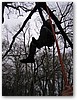 IMG_0107.JPG