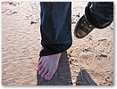 IMG_0310.JPG