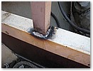 IMG_1488.JPG