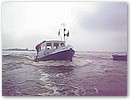 IMG_4073filmpje.jpg