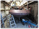 IMG_4302.JPG