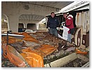 IMG_0784.JPG