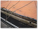 IMG_9312.JPG