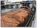 IMG_9313.JPG