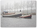 DSC00984.JPG