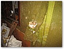 IMG_1680.JPG
