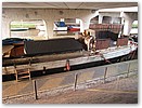 IMG_3546.JPG