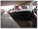 IMG_3552.JPG