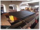 IMG_3553.JPG
