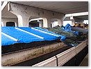 IMG_3554.JPG