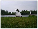 P1010715.jpg