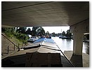 IMG_5818.JPG