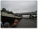 IMG_5885.JPG