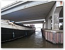 IMG_5891.JPG