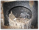 IMG_6059.JPG