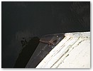 IMG_8261.JPG