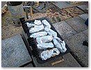 IMG_8264.JPG