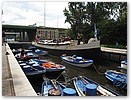 IMG_7611.JPG