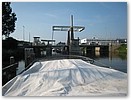 IMG_6449.JPG