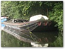 IMG_8564.JPG