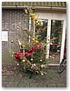 IMG_0674.JPG