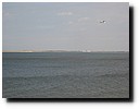 IMG_2697.JPG