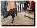 IMG_3441.JPG