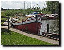 IMG_4333.JPG