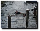 IMG_4344.JPG