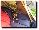 IMG_6163.JPG