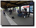 P1040526.JPG