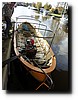 P1100006.JPG